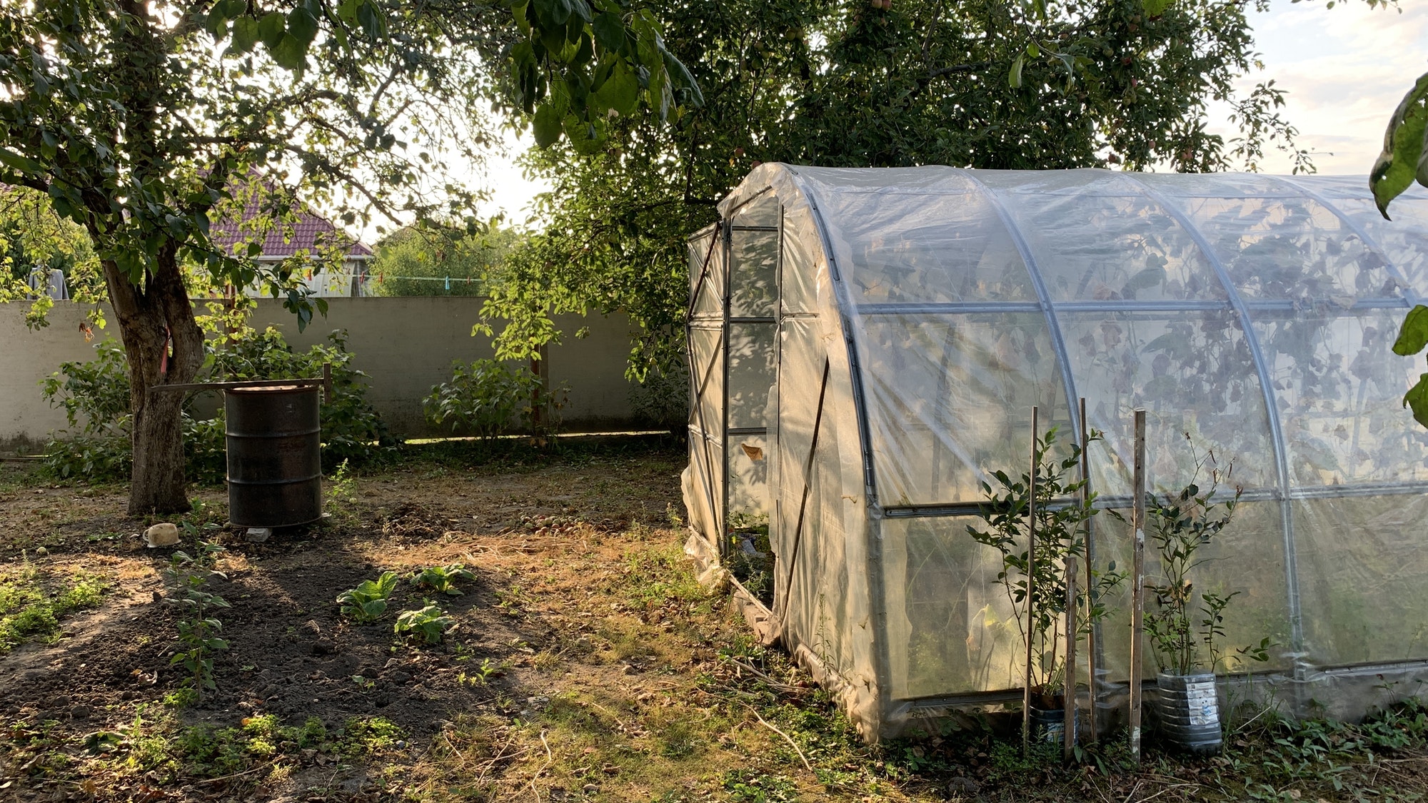 how-to-secure-your-greenhouse-from-the-wind-greenhouse-gusto